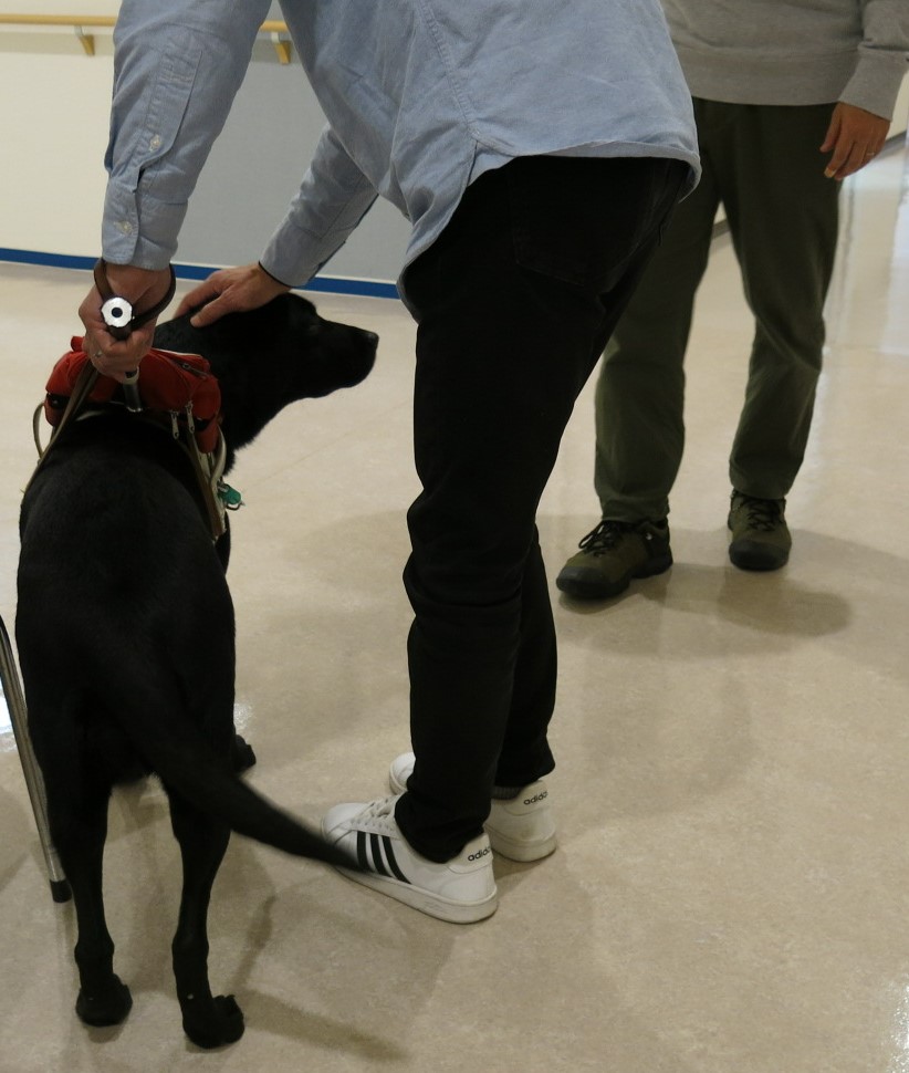 体験歩行のあと、盲導犬を撫でながらほめている様子。